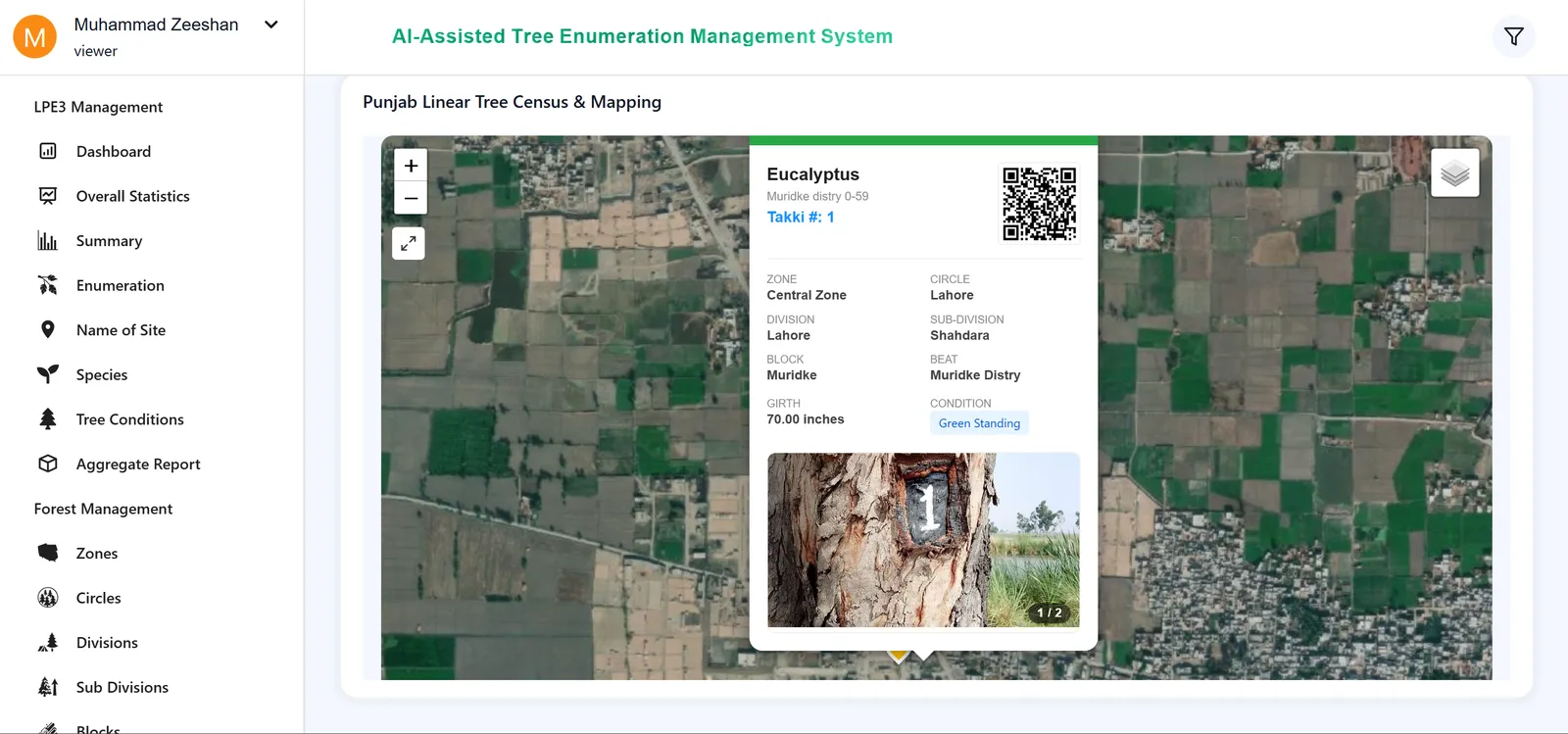 Linear Tree Enumeration System — Frame 15