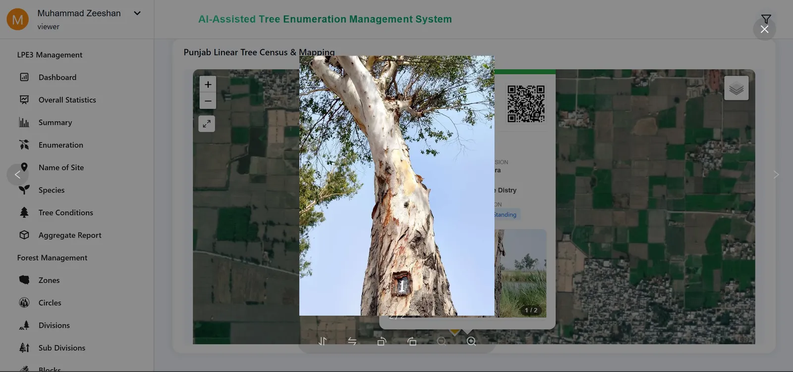 Linear Tree Enumeration System — Frame 16