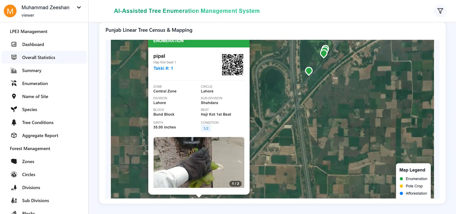 Linear Tree Enumeration System — Frame 21
