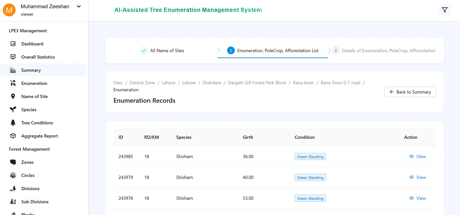 Linear Tree Enumeration System — Frame 24